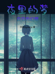 夜里的梦，白日的幻想在线阅读