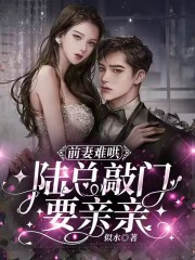 前妻难哄，陆总敲门要亲亲在线阅读