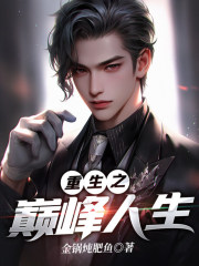 巅峰人生