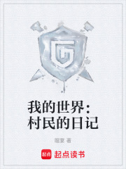 我的世界：村民的日记