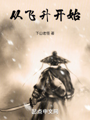 从飞升开始