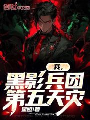 我，黑影兵团，第五天灾