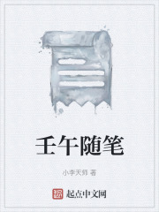 壬午随笔在线阅读