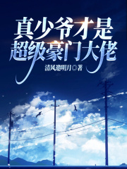 真少爷才是攻防