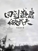 回到盛唐做武夫封面