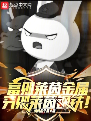 《富则莱茵金属，穷则莱茵钢铁！》（精校全本）作者：清炖莲子羹【TXT】