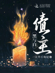 黑与白：债主