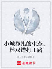 小城挣扎的生态，林双错打工路在线阅读