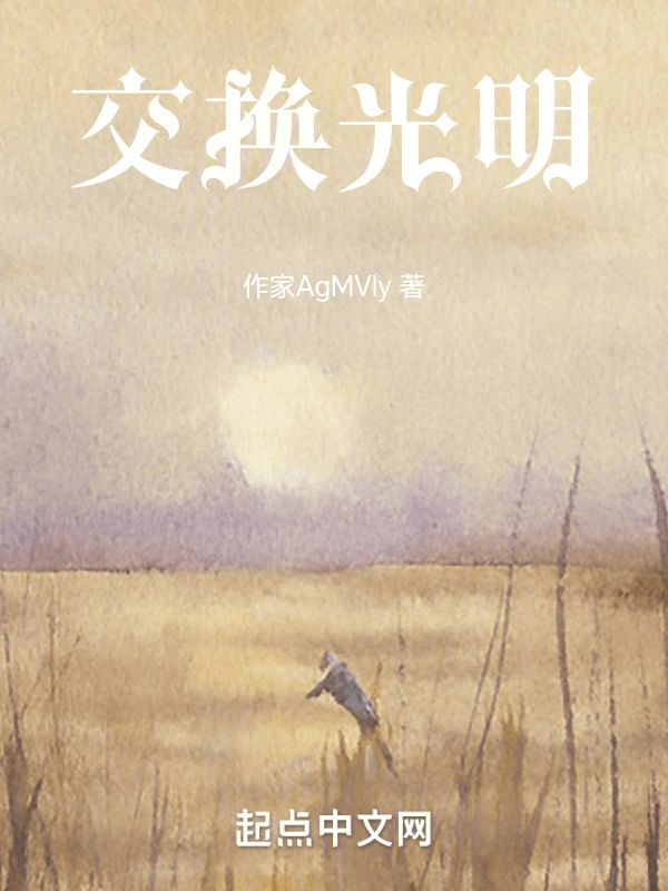 交换光明