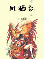 凤栖台在线阅读
