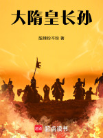 大隋皇长孙封面