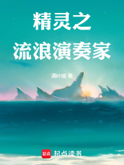 精灵之流浪演奏家在线阅读