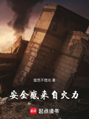 安全感来自火力在线阅读