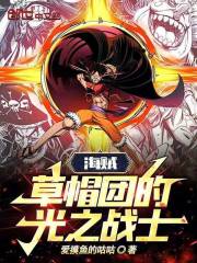 海贼：草帽团的光之战士在线阅读