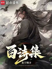 百诗集在线阅读