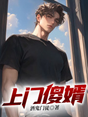 上门傻婿在线阅读
