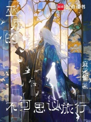 巫师的不可思议旅行在线阅读