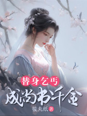 替身乞丐成尚书千金