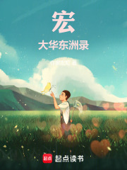 宏大华东洲录在线阅读