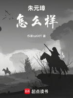 朱元璋怎么样封面