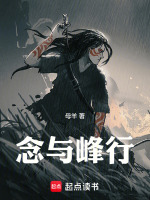 念与峰行封面
