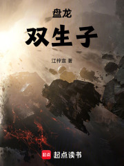 盘龙：双生子在线阅读