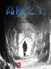 高阶之上在线阅读