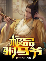 极品驸马