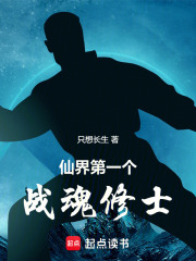 仙界第一个战魂修士