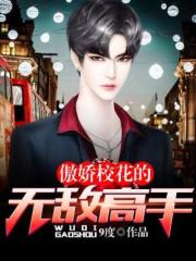 都市无敌高手