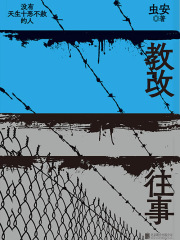 教改往事（冯小刚执导、赵丽颖领衔主演电影《向阳·花》原著小说）