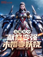 吞噬星空：献祭变强，未婚妻妖娆封面