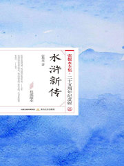 水浒新传（张恨水全集·25周年纪念版）