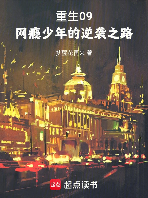 重生09：网瘾少年的逆袭之路