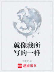 就像我所写的一样