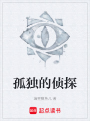 孤独的侦探在线阅读