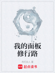 我的面板修行路