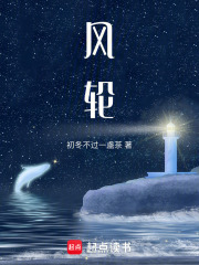 风轮在线阅读