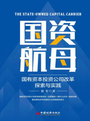 国资航母：国有资本投资公司改革探索与实践