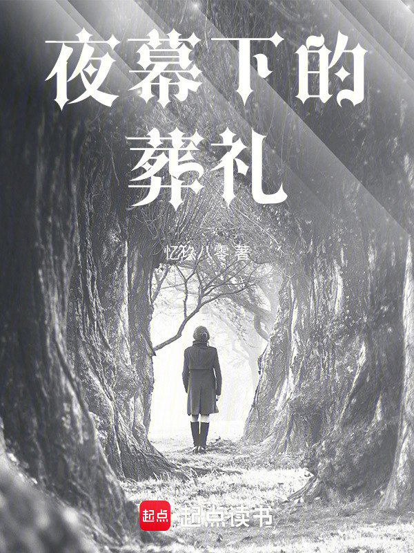 夜幕下的葬礼在线阅读