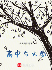 高中与文学