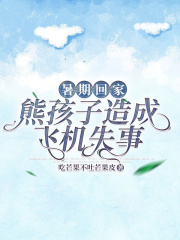 暑假回家，熊孩子造成飞机失事