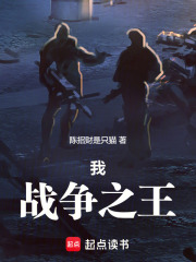 我，战争之王在线阅读