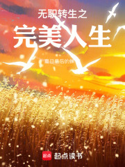 无职转生之完美人生