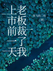 上市前一天，老板裁了我