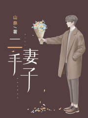 二手妻子在线阅读