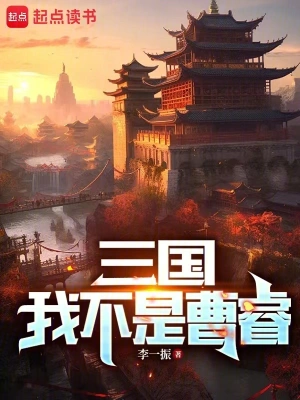 《三国：我不是曹睿》（精校全本）作者：李一振【TXT】