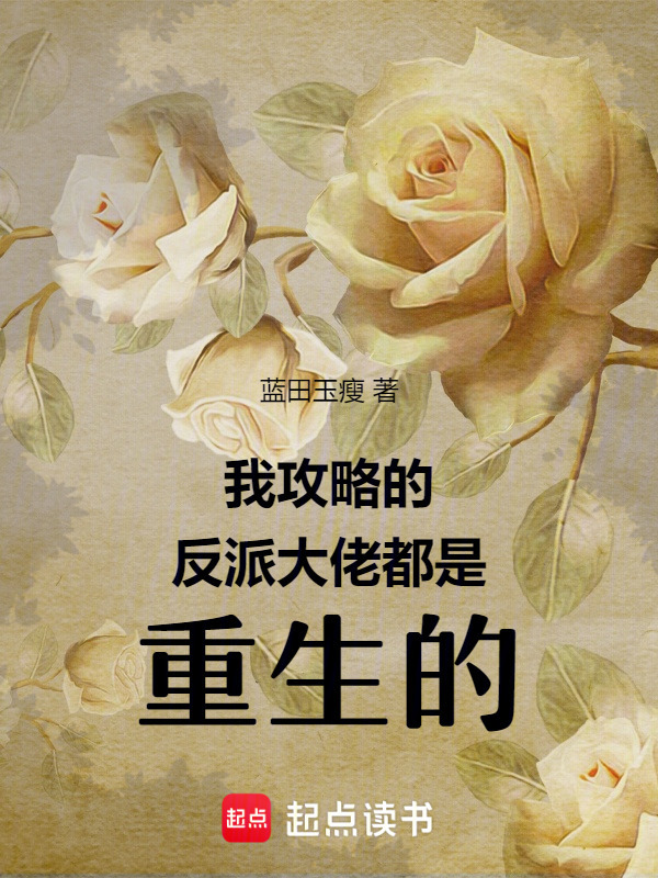 SEO攻略反派大佬 www.qidian.com