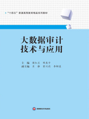 大数据审计技术与应用