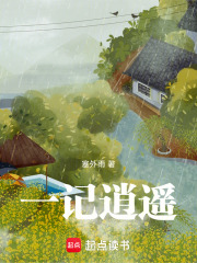 一记逍遥在线阅读